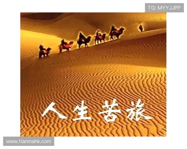 与赵芳对话探索极限运动背后的激情与挑战人生旅程 与赵芳对话探索极限运动背后的激情与挑战人生旅程