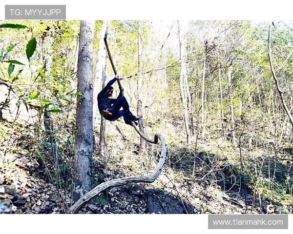 南京攀岩队战术表现数据分析揭示训练与比赛的关键因素 南京攀岩队战术表现数据分析揭示训练与比赛的关键因素