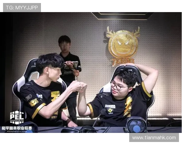 和平精英战术排行榜揭晓RNG战队荣登第十名引发热议